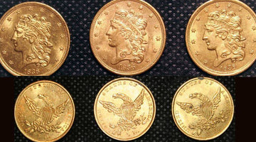 Divers Uncover Rare Gold Coins on Shipwreck Site