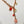 Rebecca Necklace 18K Plated with Rose Pearl and Coral